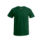 ghost-3099-1-forest